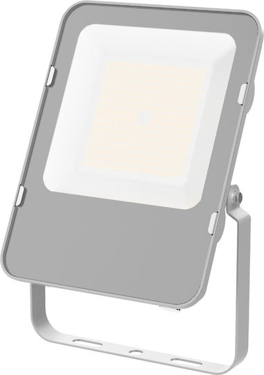 Avide AILFLNW-100W Waterproof LED Floodlight 100W Natural White 4000K IP65