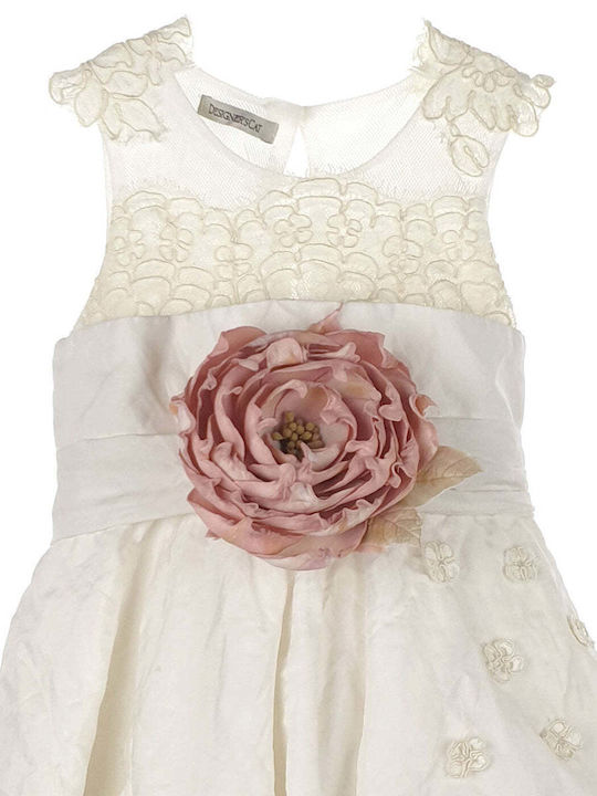 Designer's Cat Rochie De Botez