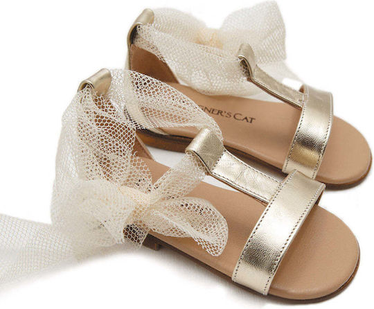 Designer's Cat Gold