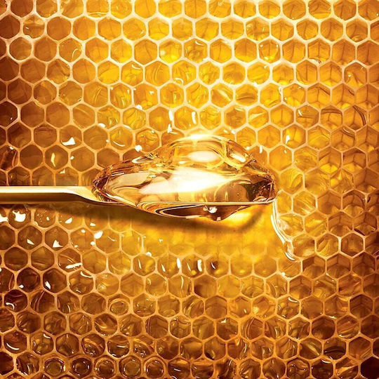 Guerlain Abeille Royale Honey Nachfüllen Creme Gesicht Tag 50ml