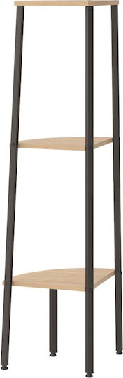 Eckes Bücherregal Braun 45.5x31.5x120cm
