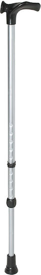 Wheel Walking Stick Left Silver 444275_SILVER