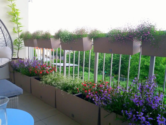 Marhome Rato Self-watering Planter Box Plastic Charcoal 60x25x24cm.