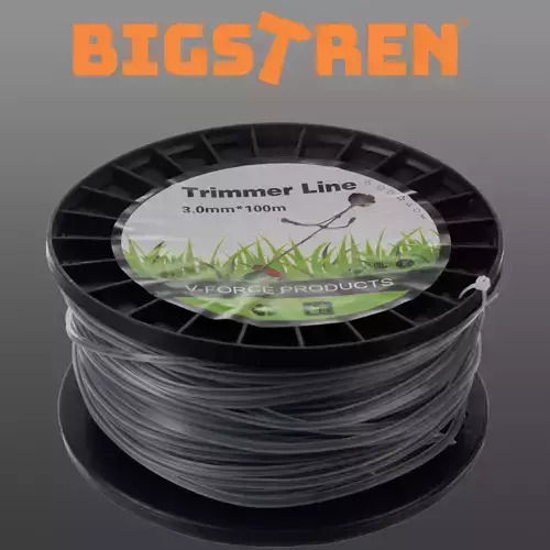 Bigstren Νήμα Ψαρέματος 100m / 3mm / 1.1kg