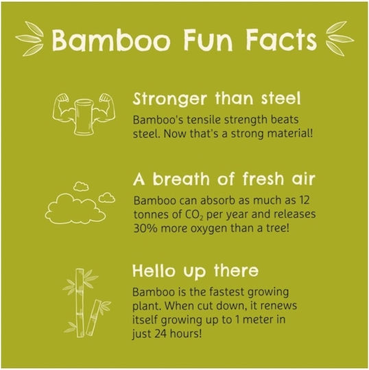 Munchkin Παιδικό Πιάτο Φαγητού από Bamboo Πράσινο