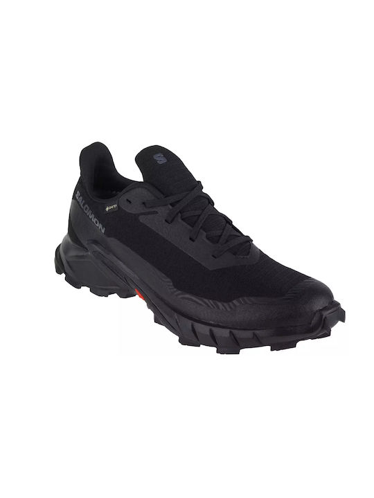 Alphacross 5 GTX Sport Shoes Running Waterproof with Gore-Tex Membrane Black Peat / Sulphur / Spring
