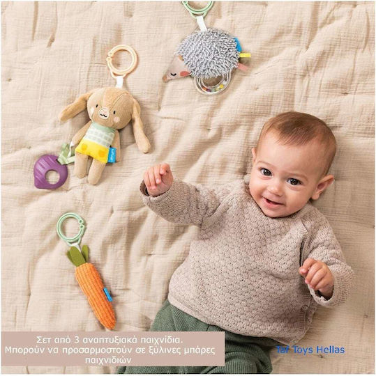 Taf Toys Pendant Toy for Car with Teether Activity