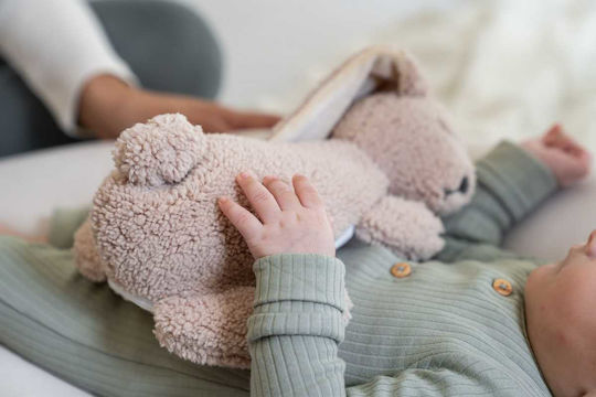 Doomoo Snoogy Bunny Heating Pad With Natural Seeds Biscuit