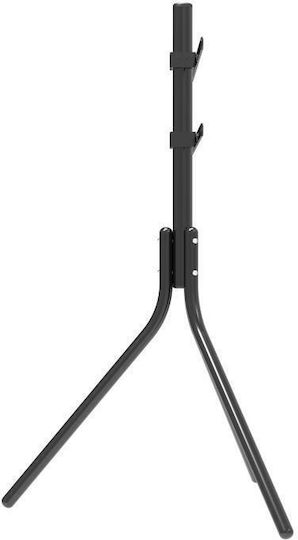 Focus Mount Tt144 240061 TV Mount Floor up to 65" and 35kg