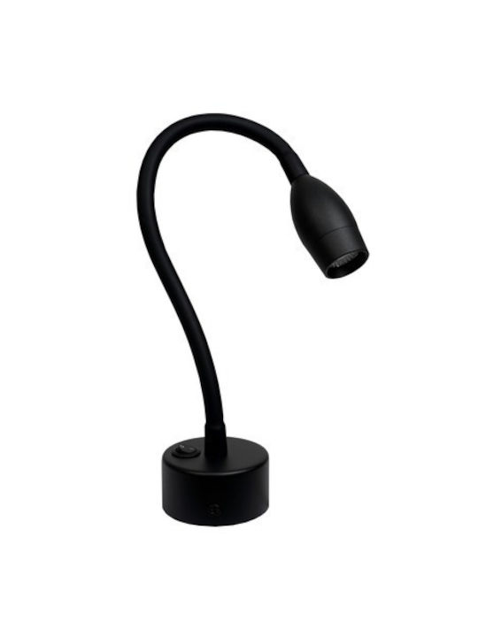 Lightex LED Natural White Spot in Black Color