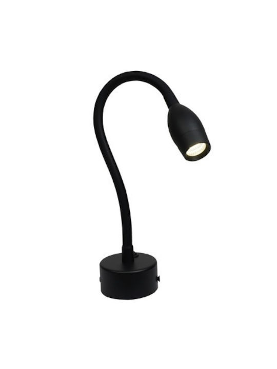 Lightex LED Natural White Spot in Black Color