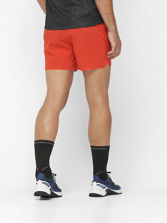 Salomon Herrenshorts Rot