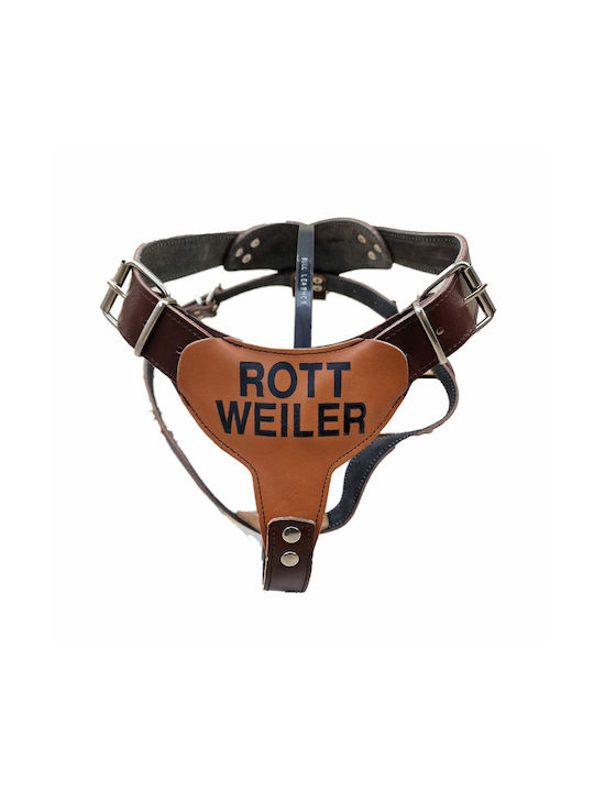 ByLeather Δερμάτινο Καφέ Large / Small