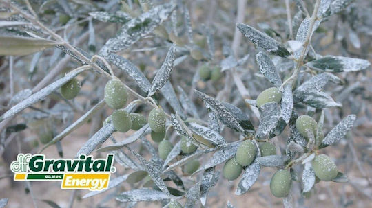 Agrology Gravital Κοκκώδες Λίπασμα 18kg