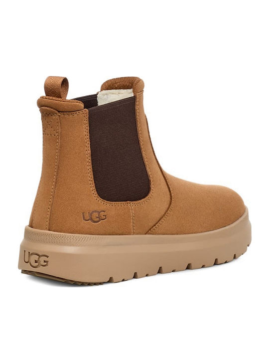 Burleigh Brown Chelsea Boots Waterproof