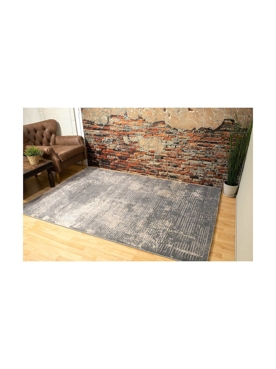 Ezzo Venice 8131acd Rug Rectangular Gray