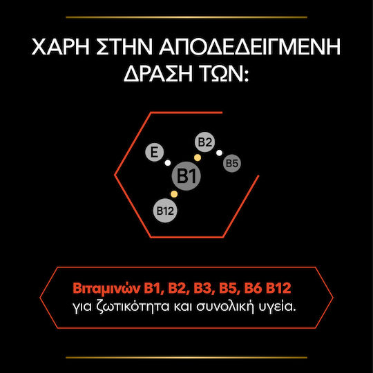 Pro Plan Βιταμίνη Σκόνη 60gr
