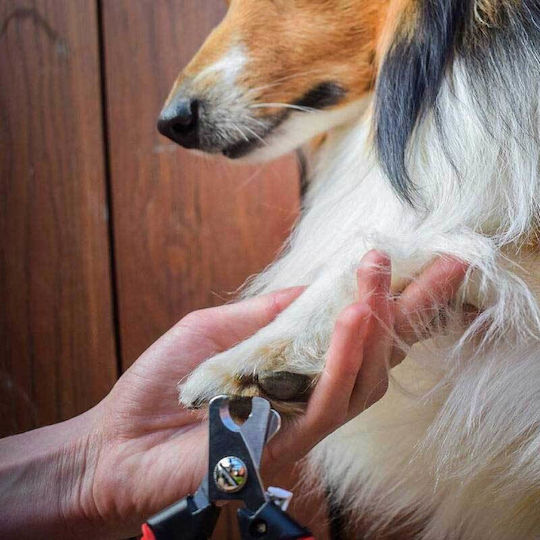 Akinu Nagelknipser Hund / Katze
