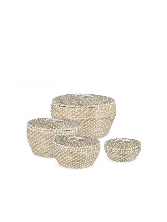 Wicker Decorative Basket Bizzotto