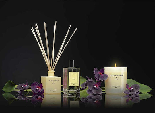 Cereria Molla Aromatic Oil Orchid 30ml