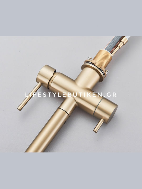 Stocco Kitchen Faucet Counter with Shower and Spiral Brushed Gold