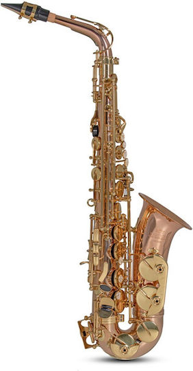 Roy Benson AS-202G Alto Saxophone