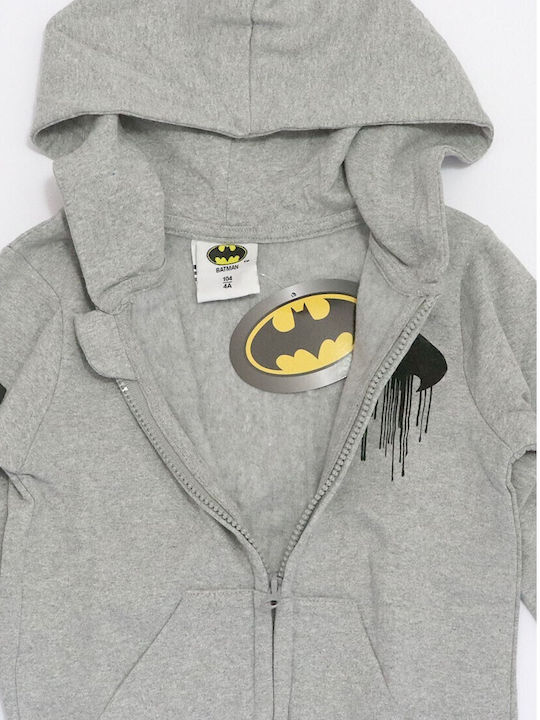 Dc Comics Boys Sweatshirt with Zipper Gray