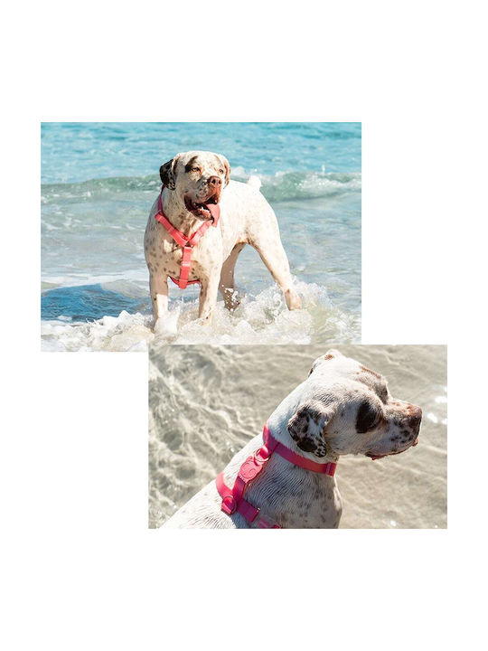 Zee-Dog Tidal Πράσινο Medium