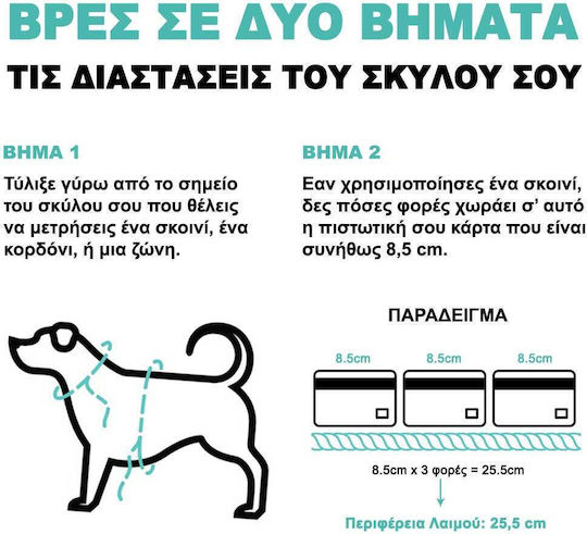 Zee-Dog Hundeleine/Führleine Riemen in Türkis Farbe 1.2m x 1.5cm