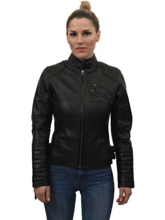 Leatherland