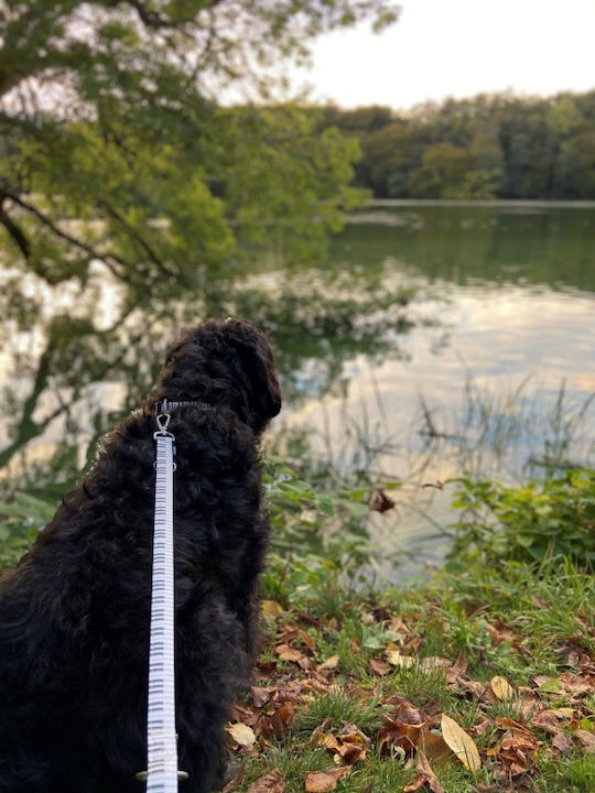 Max & Molly Ключодържател Tag