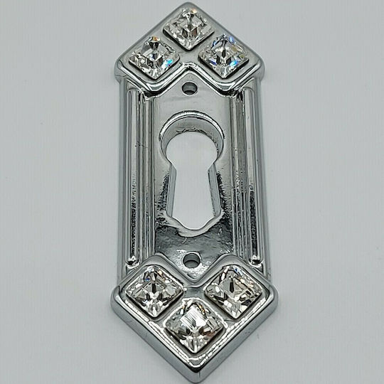 Rosette - Door Escutcheon Furniture Silver