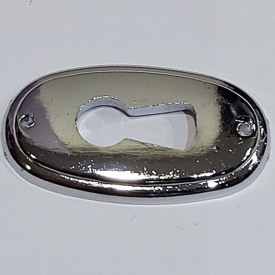 Rosette - Door Escutcheon Furniture Silver