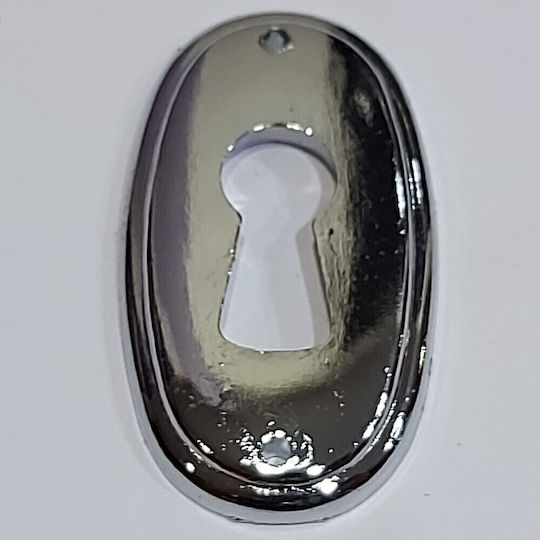 Rosette - Door Escutcheon Furniture Silver