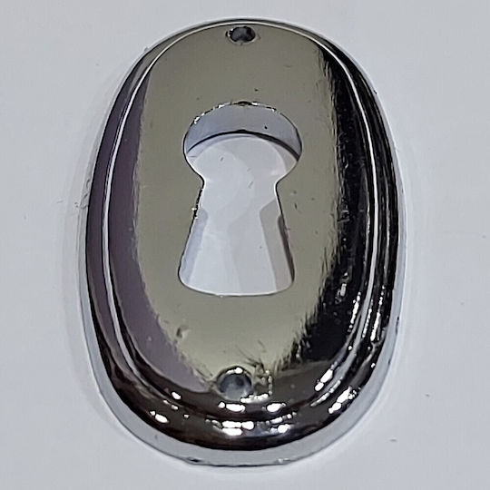 Rosette - Door Escutcheon Furniture Silver