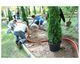 Primatera Bordură de Grădină din Plastic în Culoarea Verde 10cm x 10.0m