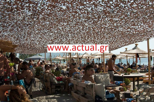 Ecoshadow Square Camouflage Net Beige with PU Coating 3x3m 160gr/m²