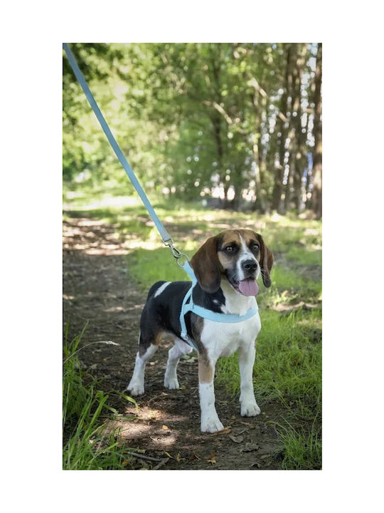 Flamingo Hundegeschirr Ausbildung Blau X-klein