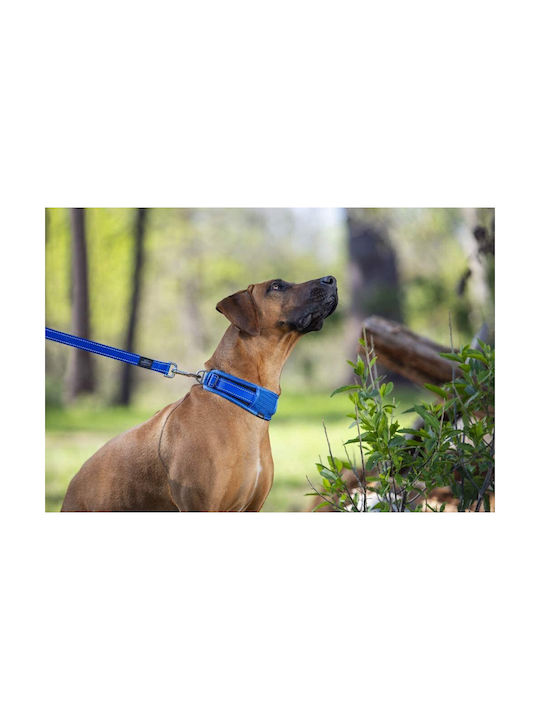 Rogz Utility Dog Collar Large Blue