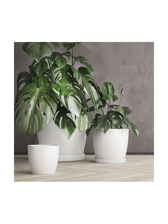 Don-Plast Ghiveci Plastic 25x25x22.9cm.