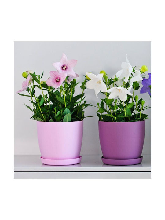 Don-Plast Pot Plastic 20x20x18cm.
