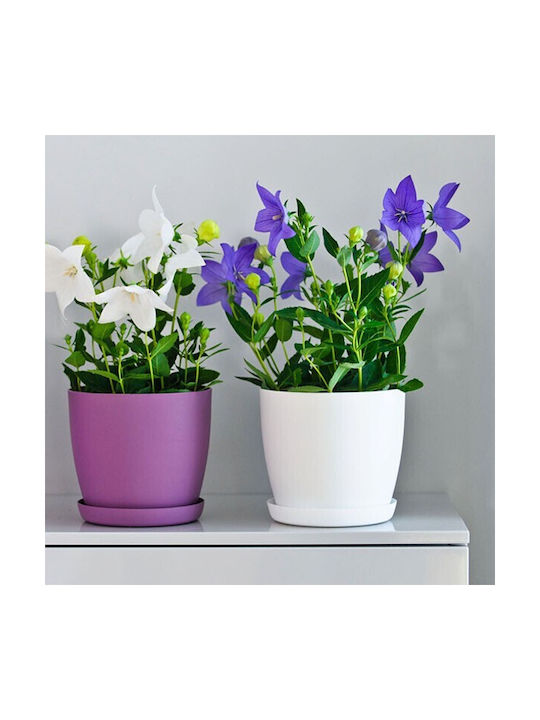 Don-Plast Ghiveci Plastic 30x30x27.3cm.