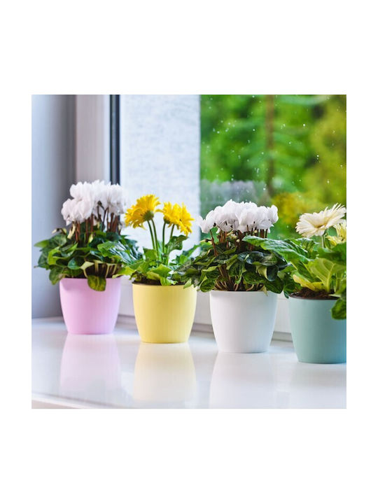 Don-Plast Ghiveci Plastic 25x25x22.9cm.