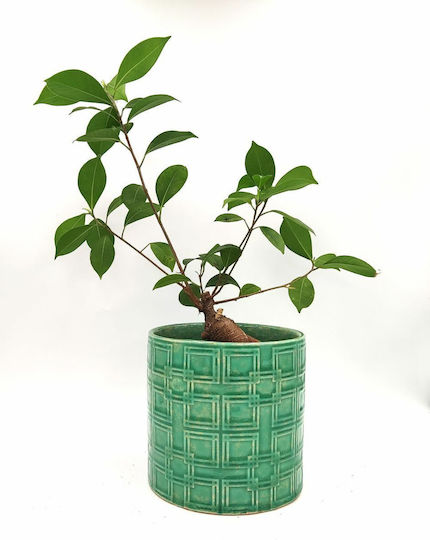 Plant Pot Ceramic Turquoise
