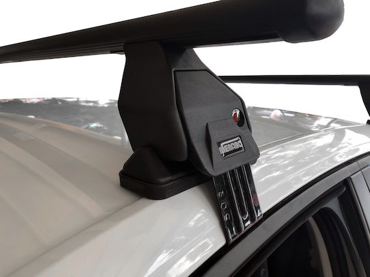 (with Roof Rack Legs) Silver