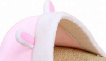 Tatu Moyo Bett Katze Rosa