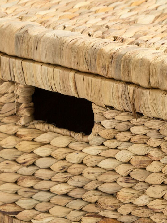 La Redoute Interieurs Dekorativer Korb Korbweide mit Deckel Beige 80x40x20cm