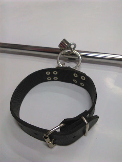 Fixierungsstange in Schwarz Farbe