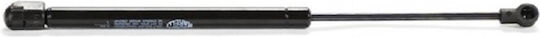 Magneti Marelli Trunk Shock for Citroen C4