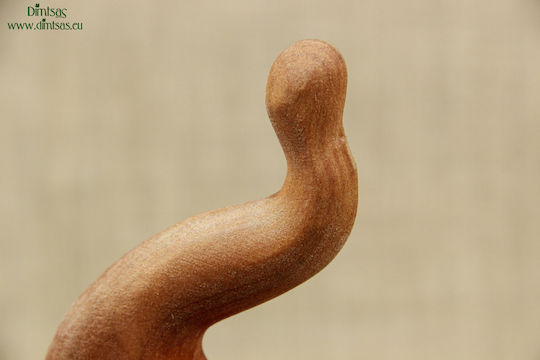 Shepherd's Crook 1 Piece